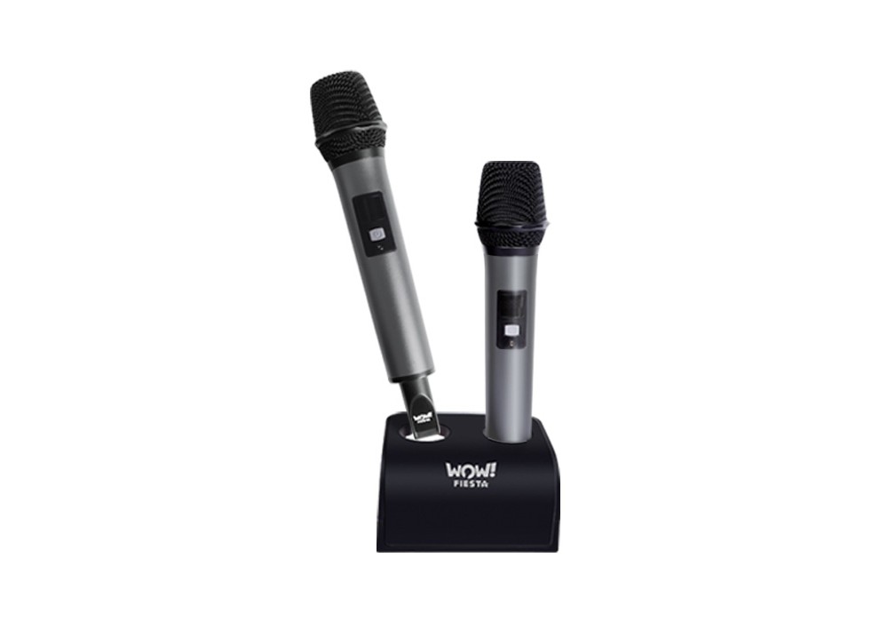 Portable Karaoke System