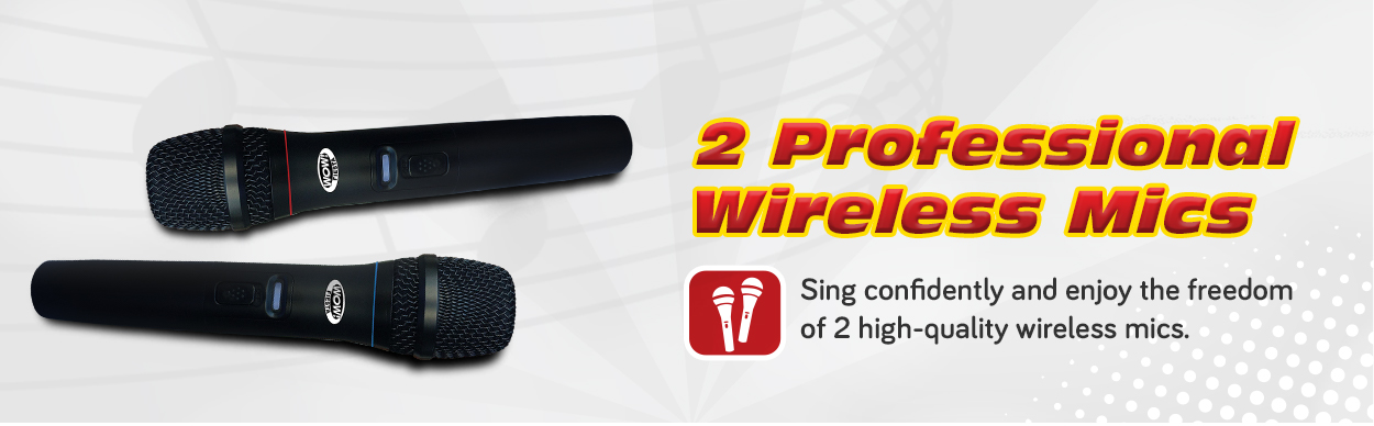 Wireless Mic