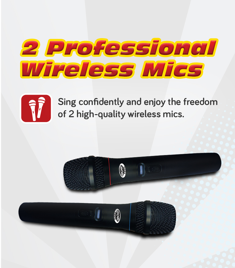 Wireless Mic